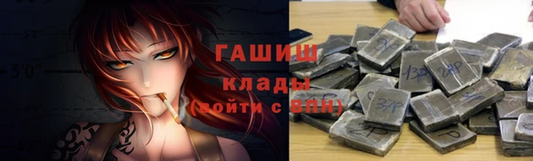гидра Гусев