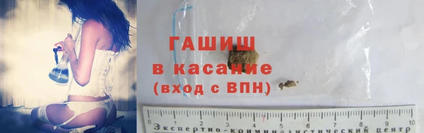 гидра Гусев