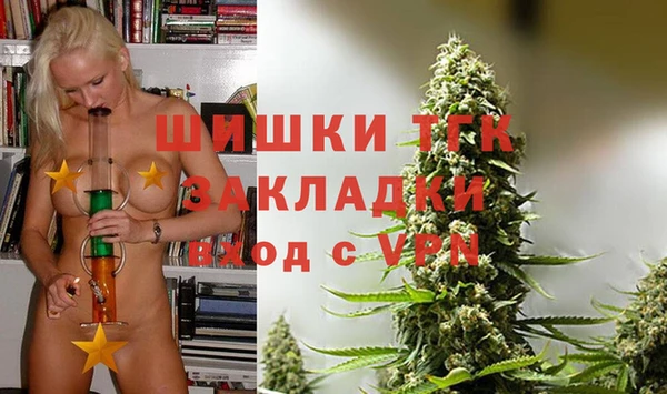 гидра Гусев