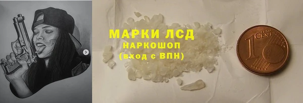 PSILOCYBIN Гусиноозёрск