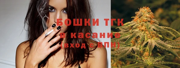 PSILOCYBIN Гусиноозёрск
