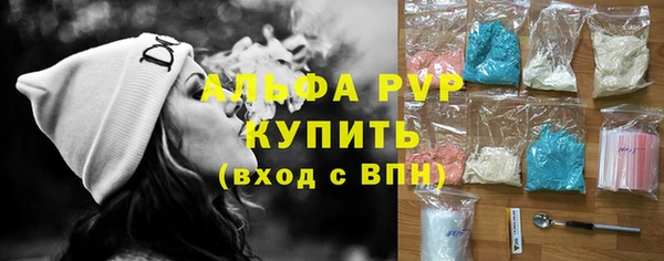 PSILOCYBIN Гусиноозёрск
