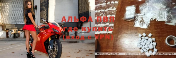 гидра Гусев