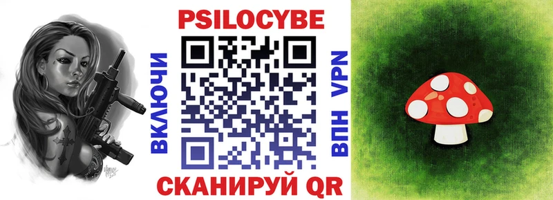Галлюциногенные грибы MAGIC MUSHROOMS Дмитриев